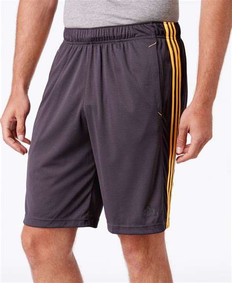 Adidas shorts macy's